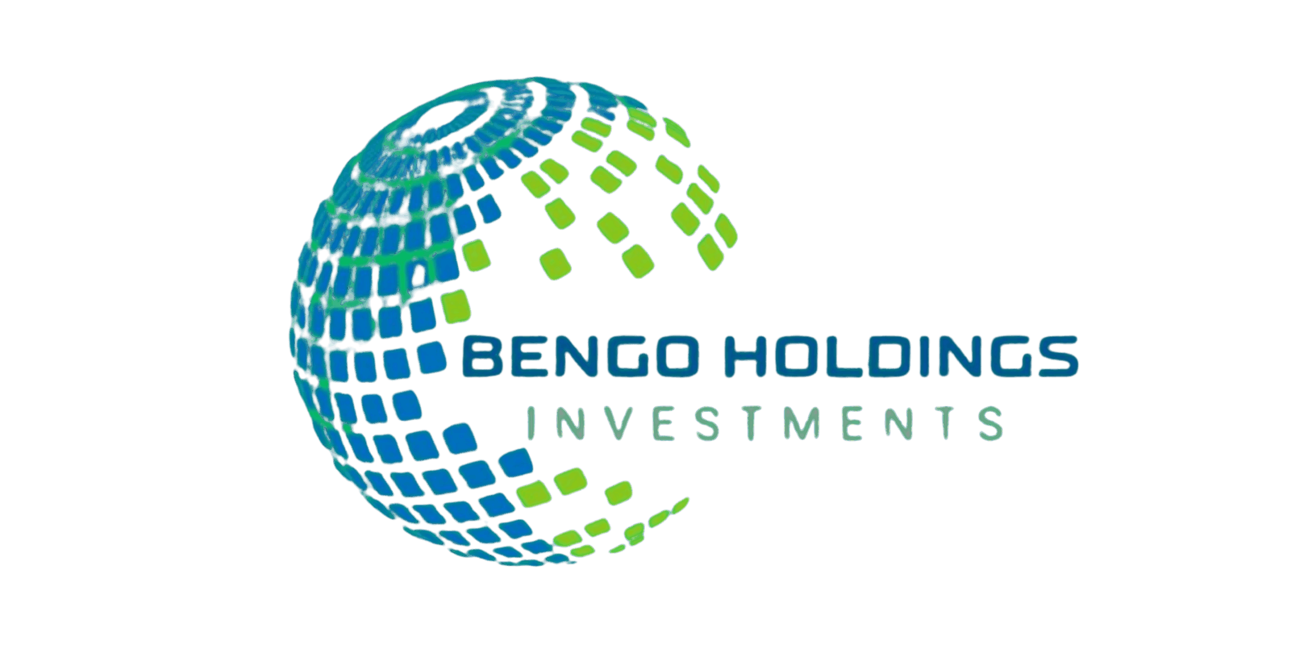 Bengo Holdings
